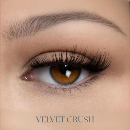 Premium magnetic eyelashes