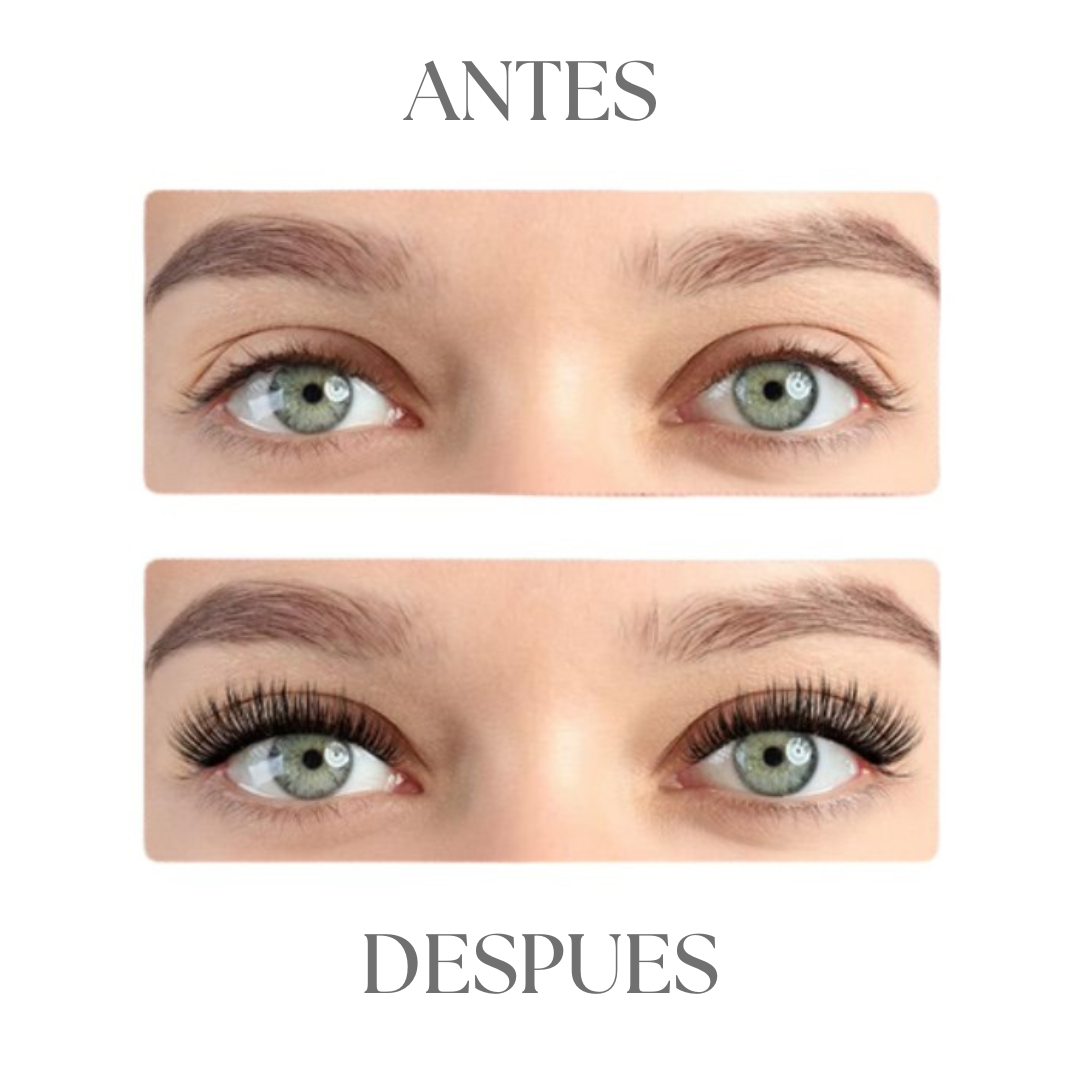 Premium magnetic eyelashes