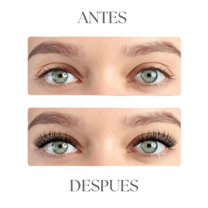 Premium magnetic eyelashes